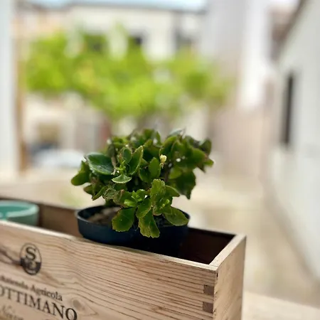 Nura's - Casa Linda Center Alghero